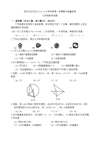 湖北省武汉市江汉区2024-2025学年九年级上学期11月期中考试数学试题