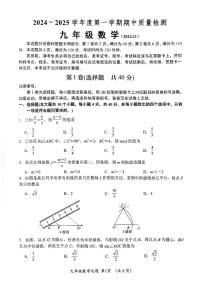 山东省济南市槐荫区2024-2025学年九年级上学期11月期中考试数学试卷