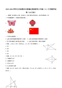 2023-2024学年江苏省泰州市姜堰区四校联考八年级（上）月考数学试卷（10月份）（含解析）