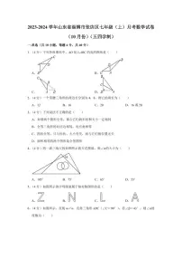 2023-2024学年山东省淄博市张店区七年级（上）月考数学试卷（10月份）（五四学制）