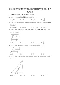 2022-2023学年吉林省长春市经开区洋浦学校九年级（上）期中数学试卷