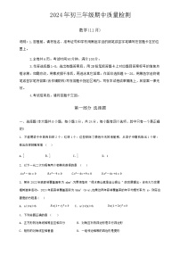 广东省深圳市罗湖区2024-2025学年九年级上学期11月期中考试数学试题