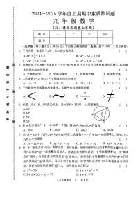 河南省驻马店市确山县2024-2025学年九年级上学期11月期中数学试题