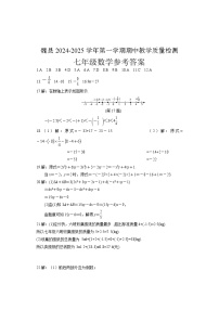 河北省邯郸市魏县2024-2025学年七年级上学期11月期中数学试题