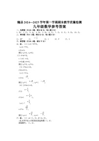 河北省邯郸市魏县2024-2025学年九年级上学期11月期中数学试题