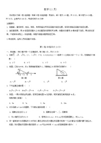 广东省深圳市罗湖区2024-2025学年八年级上学期11月期中考试数学试题