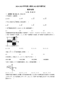 四川省成都市第七中学2024-2025学年八年级上学期11月期中考试数学试题(无答案)