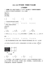 陕西省西安高新第一中学2024-2025学年九年级上学期11月期中考试数学试题