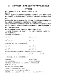 广东省佛山市南海区狮山镇2024-2025学年九年级上学期期中教学质量检测数学试卷(无答案)