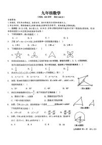 广西南宁市邕宁区民族中学2024—2025学年上学期九年级数学期中考试卷