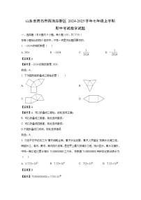 山东省青岛市西海岸新区2024-2025学年七年级上学期期中考试数学试卷（解析版）