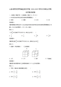 山东省青岛市市南区部分学校2024-2025学年七年级上学期开学分班数学试卷（解析版）