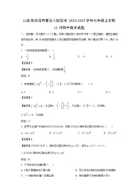 山东省菏泽市曹县八校联考2024-2025学年七年级上学期11月期中数学试卷（解析版）