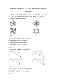 山东省泰安市泰山区2024-2025学年七年级上学期期中数学试卷（解析版）