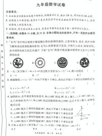 河南省洛阳市老城区2024-2025学年九年级上学期11月期中数学试题