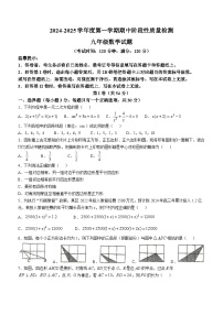 山东省青岛第五十九中学2024--2025学年九年级上学期期中考试数学试卷(无答案)