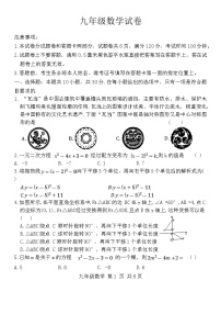 河南省洛阳市老城区2024-2025学年九年级上学期11月期中考试数学试题