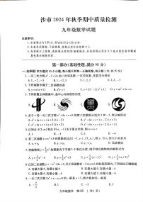 湖北省荆州市沙市区2024-2025学年九年级上学期11月期中考试数学试题