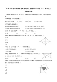 2024-2025学年安徽省宿州市埇桥区宿城一中九年级（上）第一次月考数学试卷（含答案）