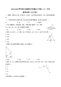 2024-2025学年四川省绵阳市涪城区八年级（上）月考数学试卷（10月份）（含答案）