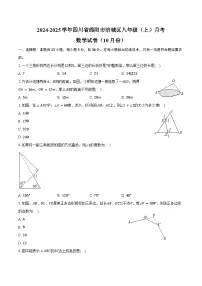 2024-2025学年四川省绵阳市涪城区八年级（上）月考数学试卷（10月份）（含答案）