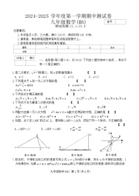 河南省周口市沈丘县中英文学校等2024-2025学年九年级上学期11月期中数学试题