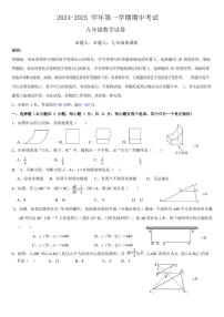 广东深圳福田区外国语学校（集团）2024年九年级上学期11月期中考试数学试题