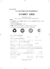 云南省昭通市永善县2024-2025学年九年级上学期11月期中数学试题