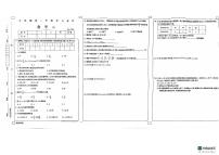 山东省德州市宁津县第四实验中学等多校2024-2025学年七年级上学期11月期中联考数学试题