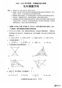 广东省揭阳市普宁市2024—2025学年上学期期中考试九年级数学试题