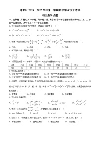 山东省烟台市蓬莱区（五四制）2024-2025学年八年级上学期期中考试数学试题