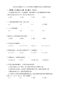 湖北省武汉市东西湖区2024-2025学年 上学期期中考试七年级数学试卷