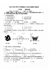 福建省+漳州市第三中学2024-2025学年八年级上学期11月期中数学试题