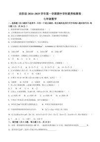 河南省洛阳市汝阳县2024～2025学年上学期期中学科素养检测卷七年级数学试题（含答案）