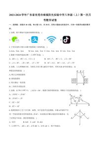 广东省东莞市南城阳光实验中学2023～2024学年八年级上学期第一次月考数学试卷(含答案)