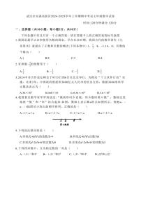 湖北省武汉市东湖高新区2024～2025学年七年级上学期期中考试数学试卷（含答案）