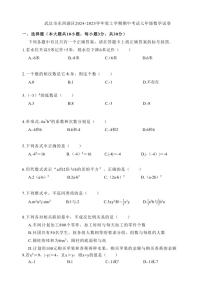 湖北省武汉市东西湖区2024～2025学年 上学期期中考试七年级数学试卷（含答案）