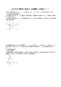 2025年中考数学二轮复习《压轴题》专项练习（一）（含答案）