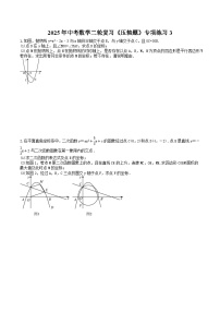 2025年中考数学二轮复习《压轴题》专项练习3（含答案）