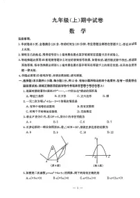 南京市鼓楼区2024-2025初三上学期数学期中试卷及答案