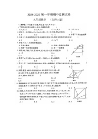 广东省河源市龙川县2024-2025学年九年级上学期数学期中监测试卷