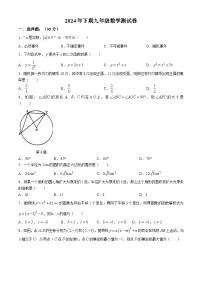 浙江省义乌市稠州中学2024—2025学年九年级上学期期中考试数学试卷(无答案)