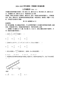 山东省济南市槐荫区2024-2025学年九年级上学期11月期中考试数学试卷