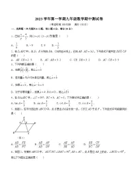 上海市2023-2024学年九年级上学期期中数学试题