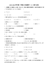 广东省开平市忠源纪念中学2023-2024学年九年级上学期期中数学试题（解析版+原卷）