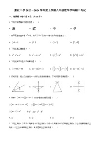 黑龙江省哈尔滨市萧红中学2023-2024学年八年级上学期期中数学试题（解析版+原卷）