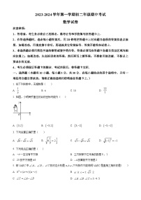 广东省深圳市蛇口育才教育集团2023-2024学年八年级上学期期中数学试题（原卷版+解析版）