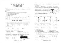 山东省枣庄市薛城区2023—-2024学年八年级上学期期中考试数学试题