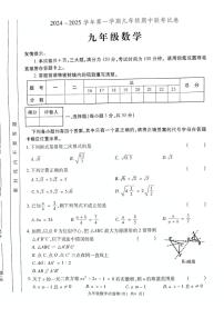 河南省洛阳市宜阳县2024-2025学年九年级上学期期中考试数学试题