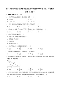 四川省成都市温江区光华实验中学2024-2025学年上学期九年级10月月考数学试卷